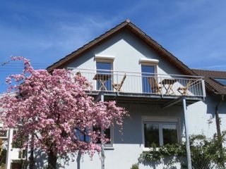Ferienwohnung Pleisweiler-Oberhofen Das blaue Haus tableau 1
